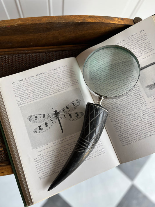 Decorative Faux Horn Magnifying Glass – Vintage Inspired