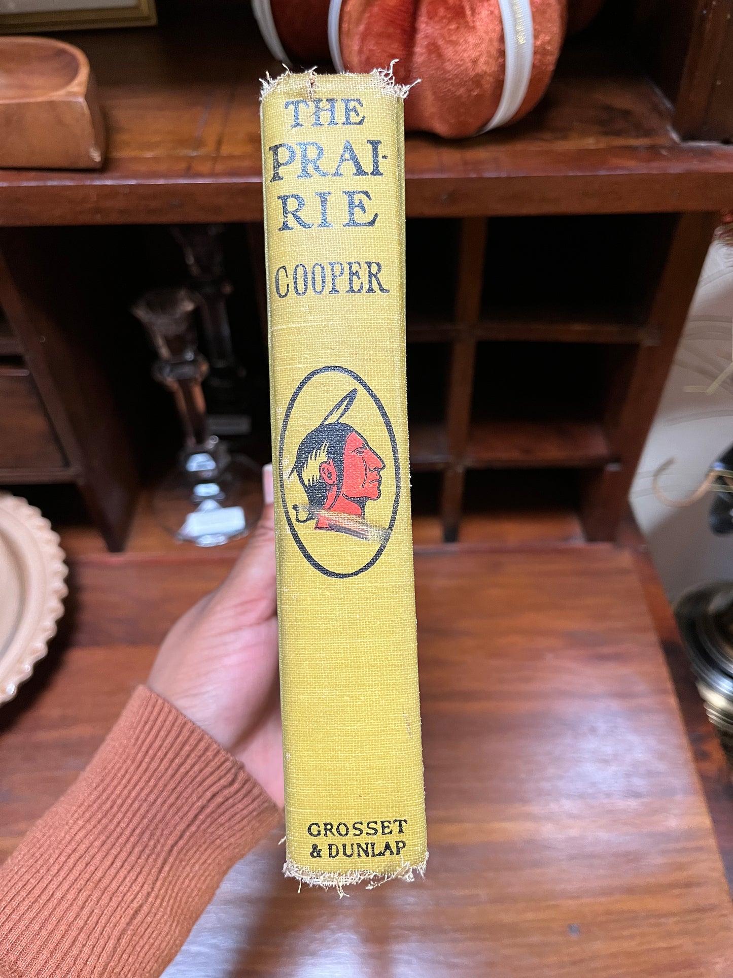 Antique 1920’s ‘The Prairie' by J. Fenimore Cooper - Illustrated Early 20th Century Classic Hardback Book Novel