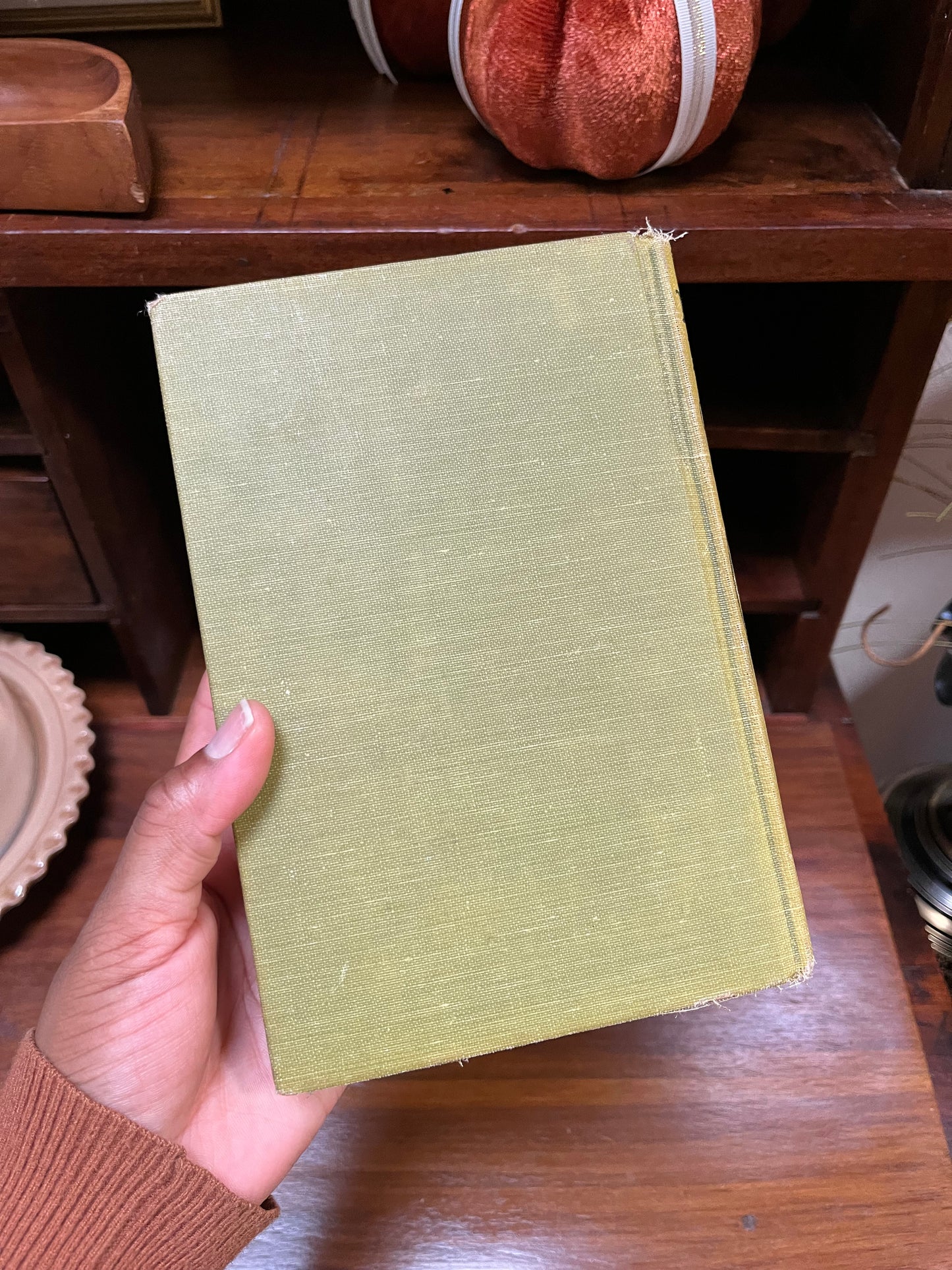 Antique 1920’s ‘The Prairie' by J. Fenimore Cooper - Illustrated Early 20th Century Classic Hardback Book Novel