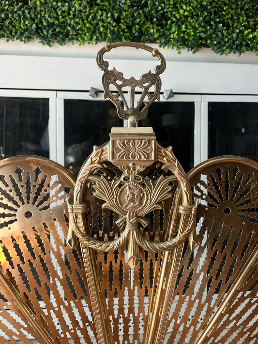 1920s Cameo Victorian Style Brass Peacock Fireplace Folding Fan Screen