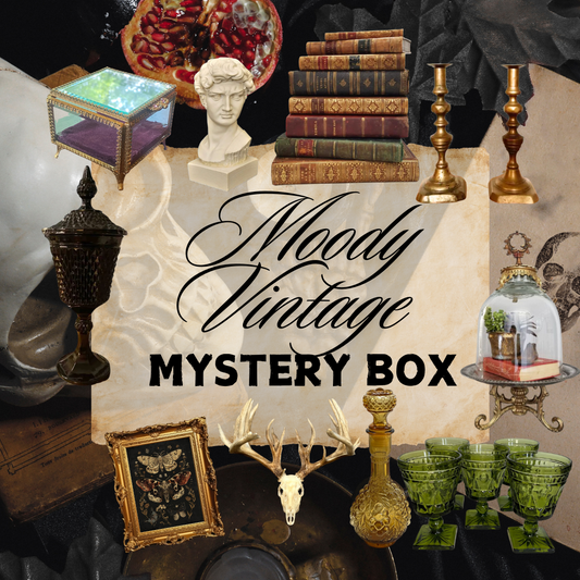 Vintage Surprise Mystery Box - Dark Moody Home Decor