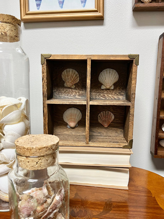 Vintage Seashell Decorative Wood Shadowbox