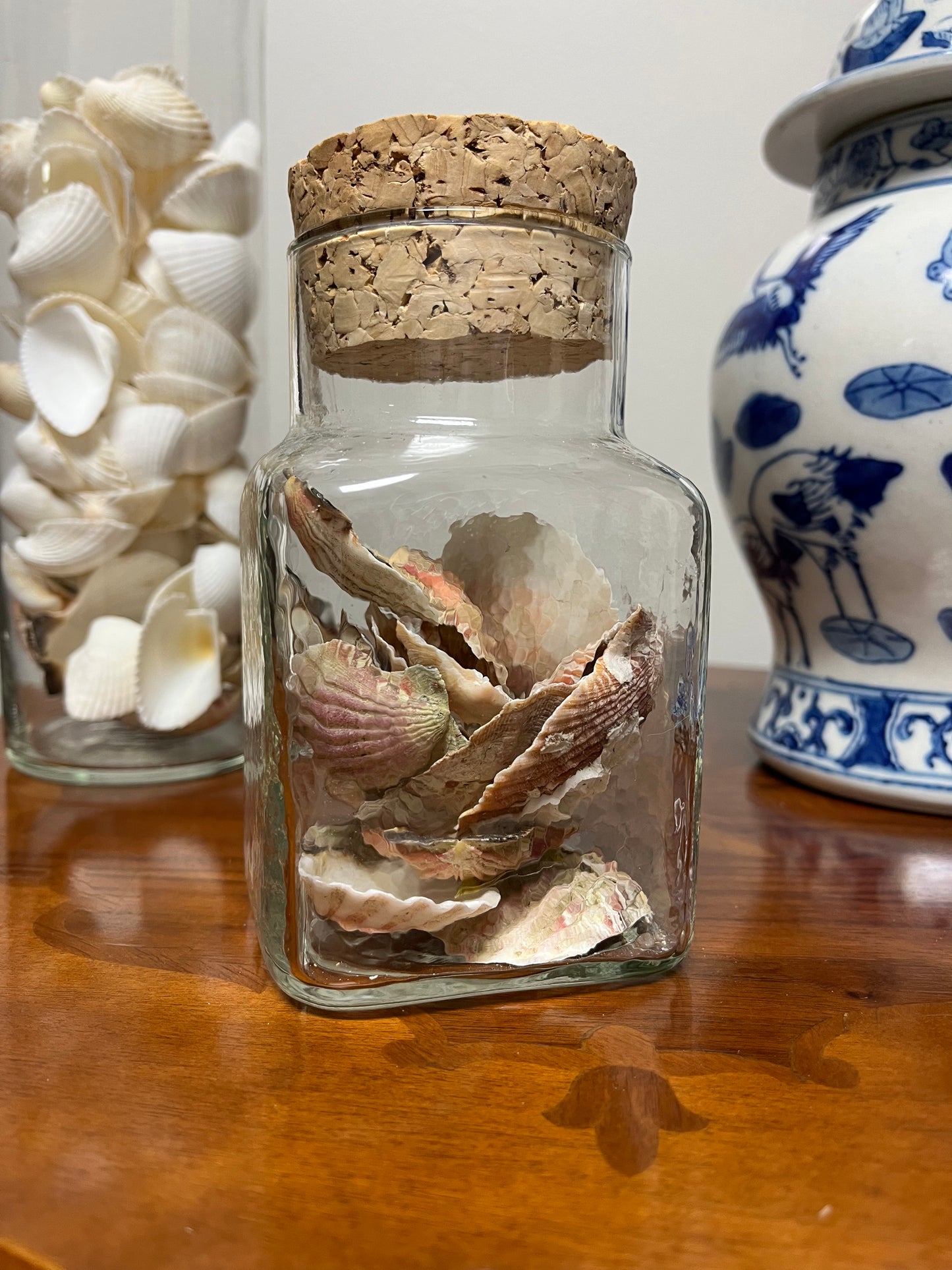 Cork Jar Filled With Seashells