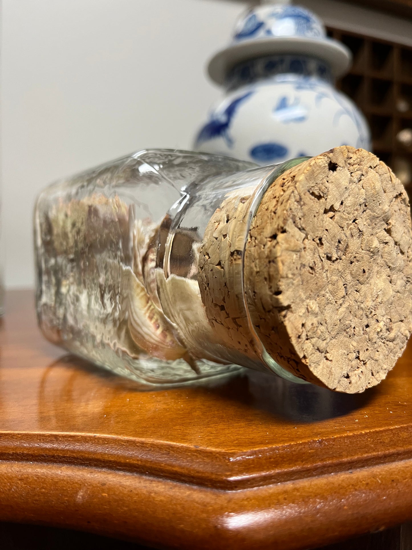 Cork Jar Filled With Seashells