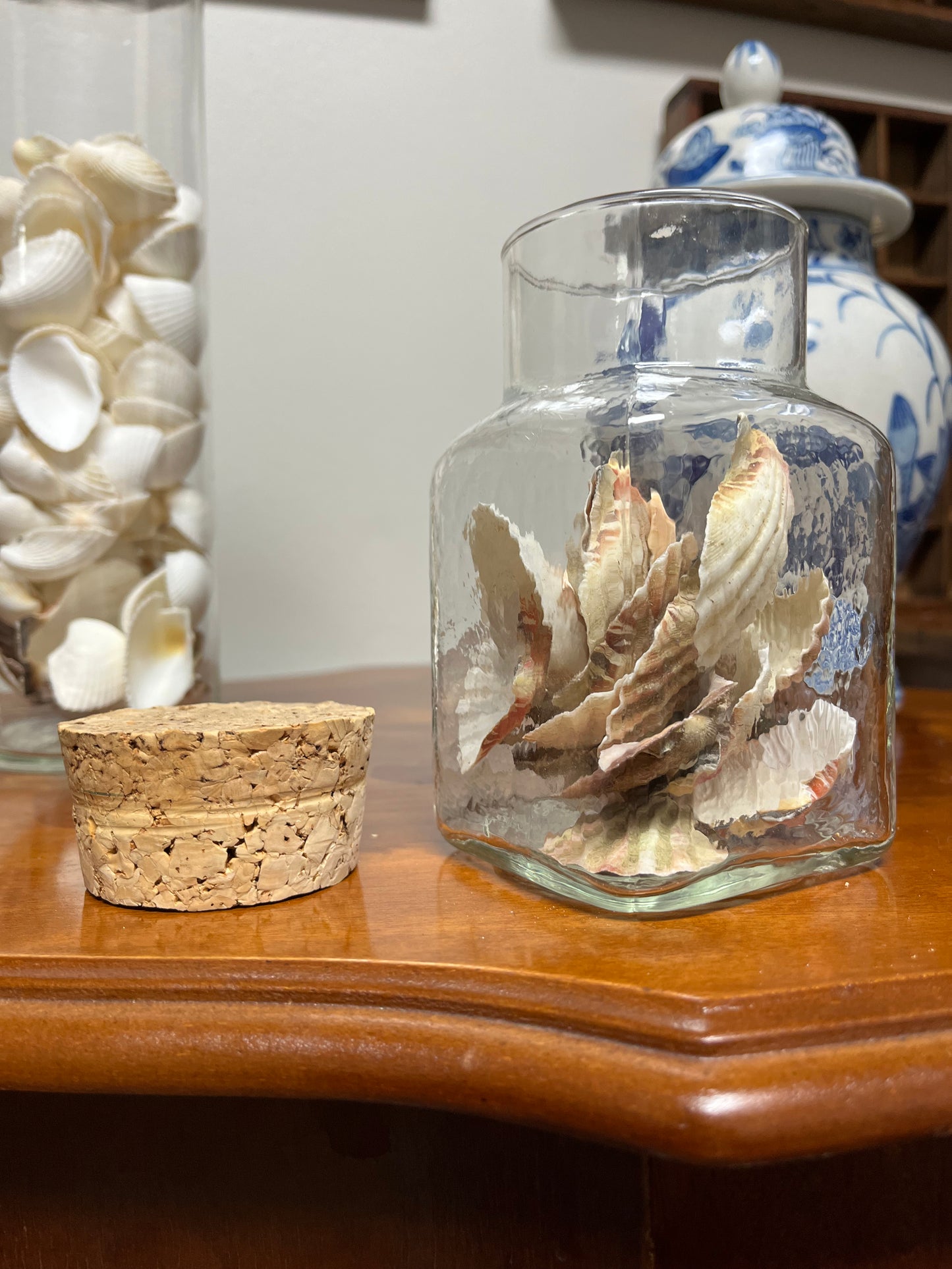 Cork Jar Filled With Seashells